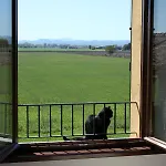 Bed and Breakfast La Casa Dei Gatti
