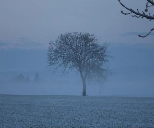 La Casa Dei Gatti 3*