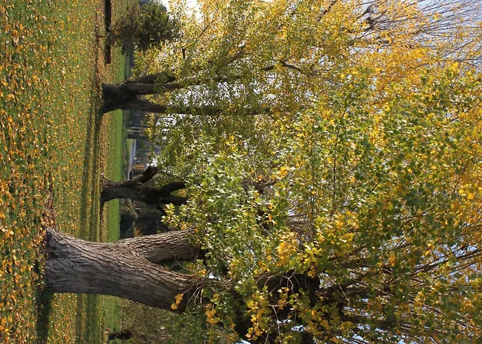 Couette-café La Casa Dei Gatti Soragna