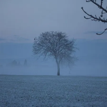 La Casa Dei Gatti 3*
