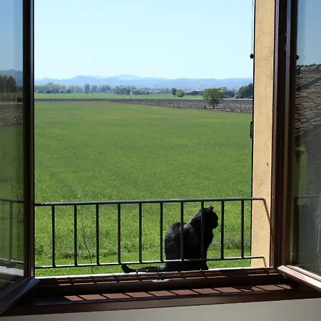 Panzió La Casa Dei Gatti