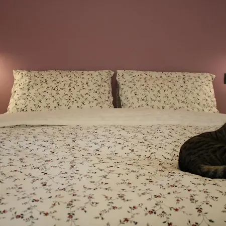 Bed & Breakfast La Casa Dei Gatti *