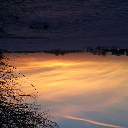 La Casa Dei Gatti Panzió Soragna