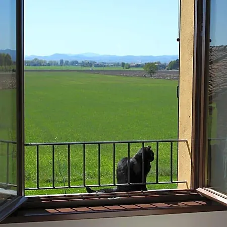 La Casa Dei Gatti Отель типа 