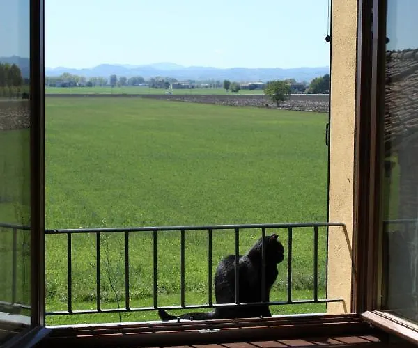 ベッド・アンド・ブレックファスト La Casa Dei Gatti