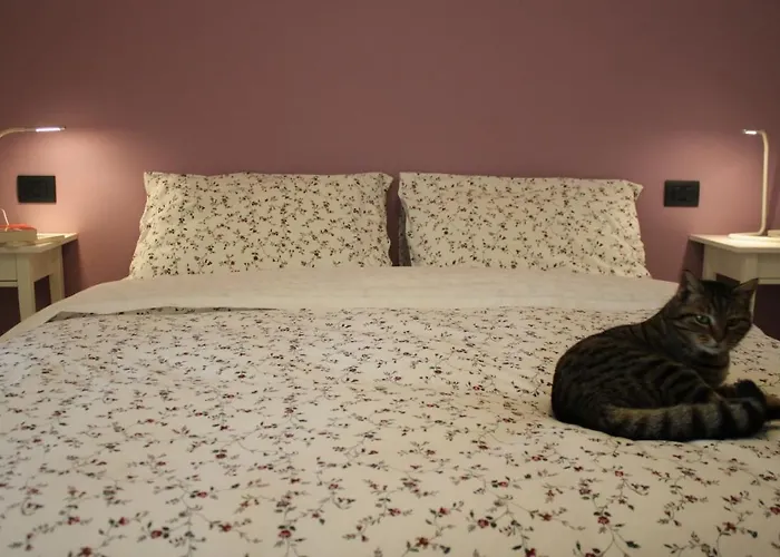 Frühstückspension La Casa Dei Gatti 3*